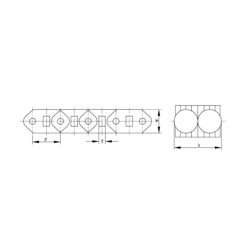 PSR infinitely variable speed chains with roller type