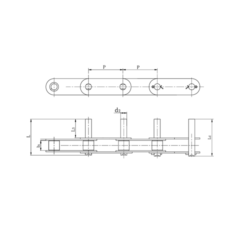 Double pitch conveyor chains with extended pins
