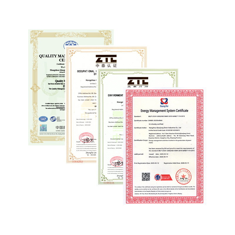 Hangzhou Qianjiang Chain Industries Co., Ltd. passed the annual system certification