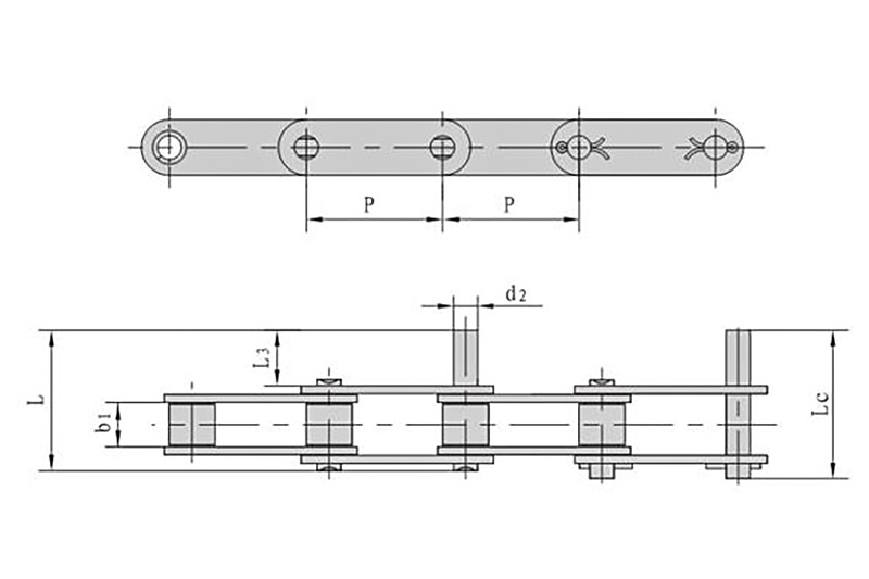 Stainless steel double pitch conveyor chains with extended pins