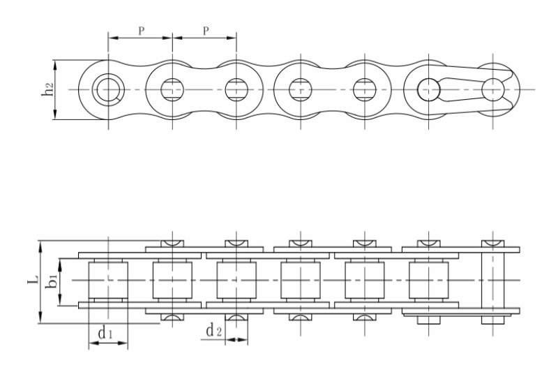 Stainless steel short pitch precision roller chain B series