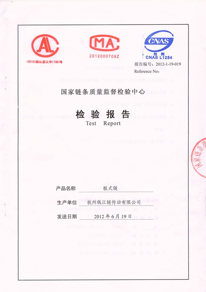 LH16 Plate chain quality inspection report